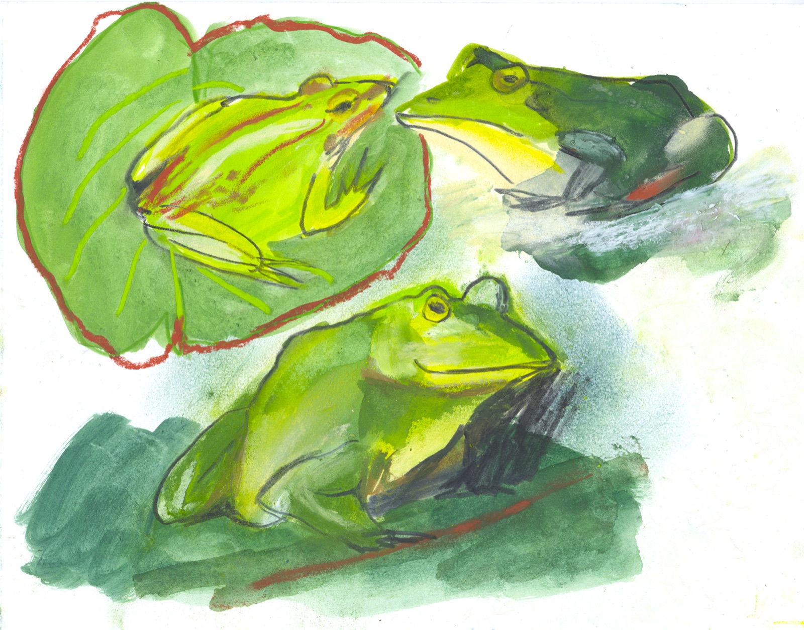 Three green frogs